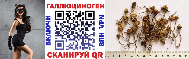Галлюциногенные грибы ЛСД Находка