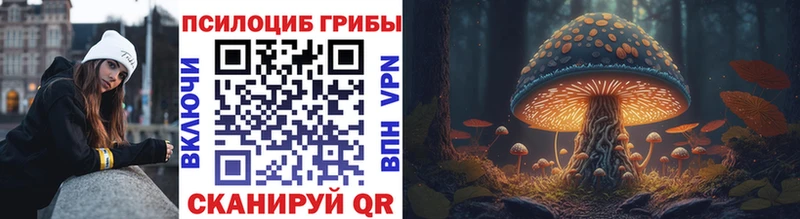 Галлюциногенные грибы мицелий  Находка 